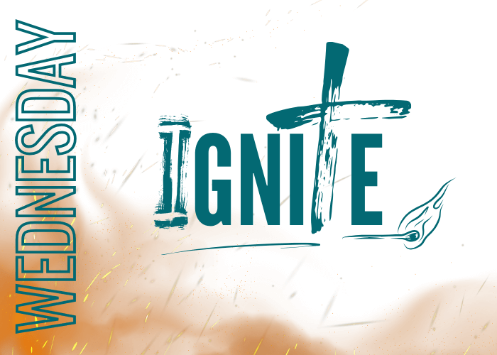 Ignite Wed (700x500) Ignite Wed (700x500)