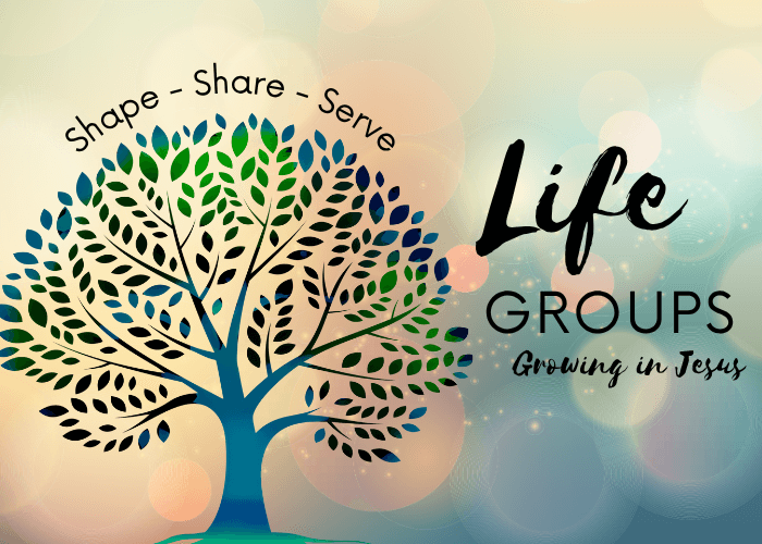 Life Groups events page