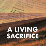 A living sacrifice_IG