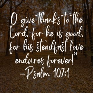 Happy Thanksgiving, church family! We pray that you're surrounded by love and have a full, grateful heart today.

#happythanksgiving #esterochurch #forestero #grateful #esterofl #fortmyersfl